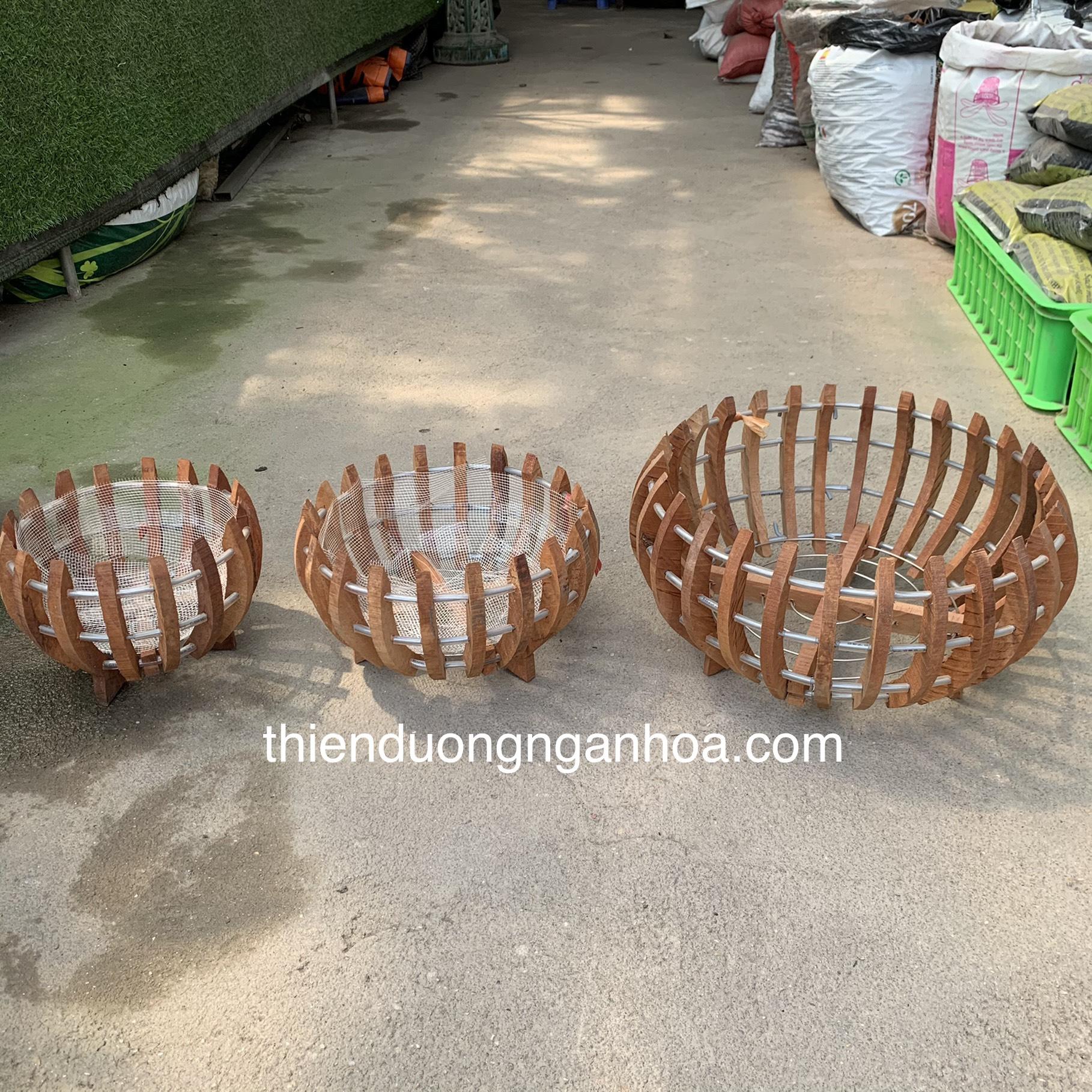 Bán chậu gỗ nhãn bí trồng lan các kích cỡ 20cm, 25cm,30cm, 35cm tại Hà Nội